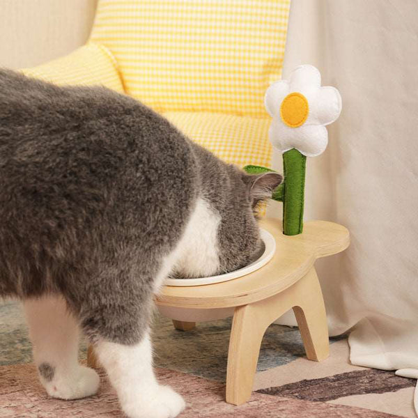 Elevated Wooden Dining Bowl For Cat - Paw Pet Hubs