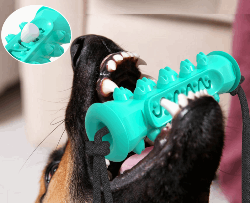 2-in-1 Pet Chew Toy & Dental Brush - Paw Pet Hubs