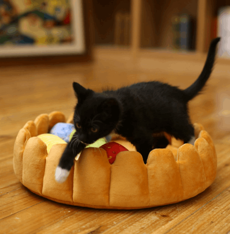 Pet Plush Fruit Pie Bed - Paw Pet Hubs