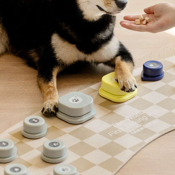 Mini Recording Button for Dog & Cat Training - Paw Pet Hubs