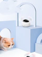 Electric Laser Teaser Cat Toy - Paw Pet Hubs