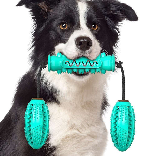 2-in-1 Pet Chew Toy & Dental Brush - Paw Pet Hubs