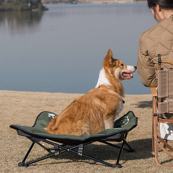 Foldable Outdoor Pet Bed - Paw Pet Hubs