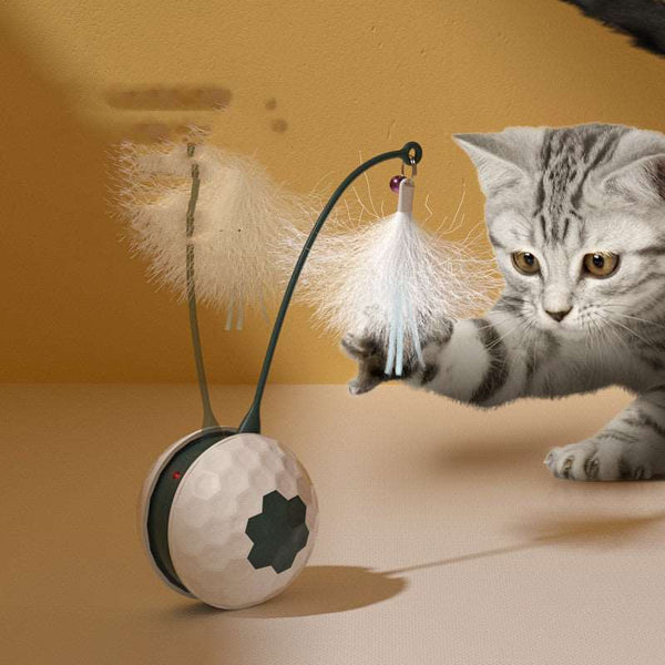 Electric Interactive Cat Toy - Paw Pet Hubs
