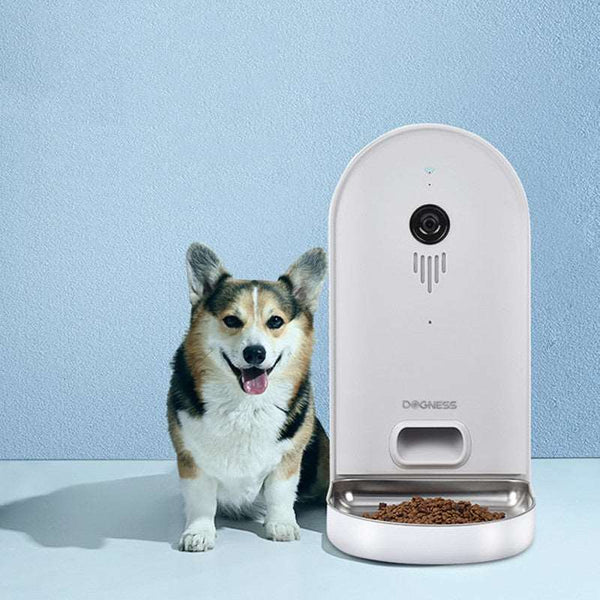 Automatic Pet Feeder - Paw Pet Hubs